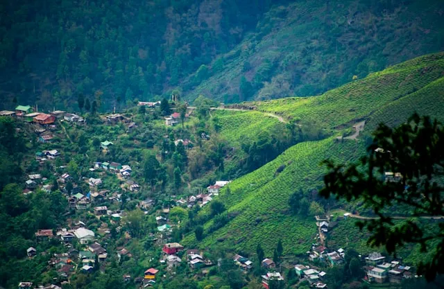 Darjeeling & Gangtok: Taste of Hills